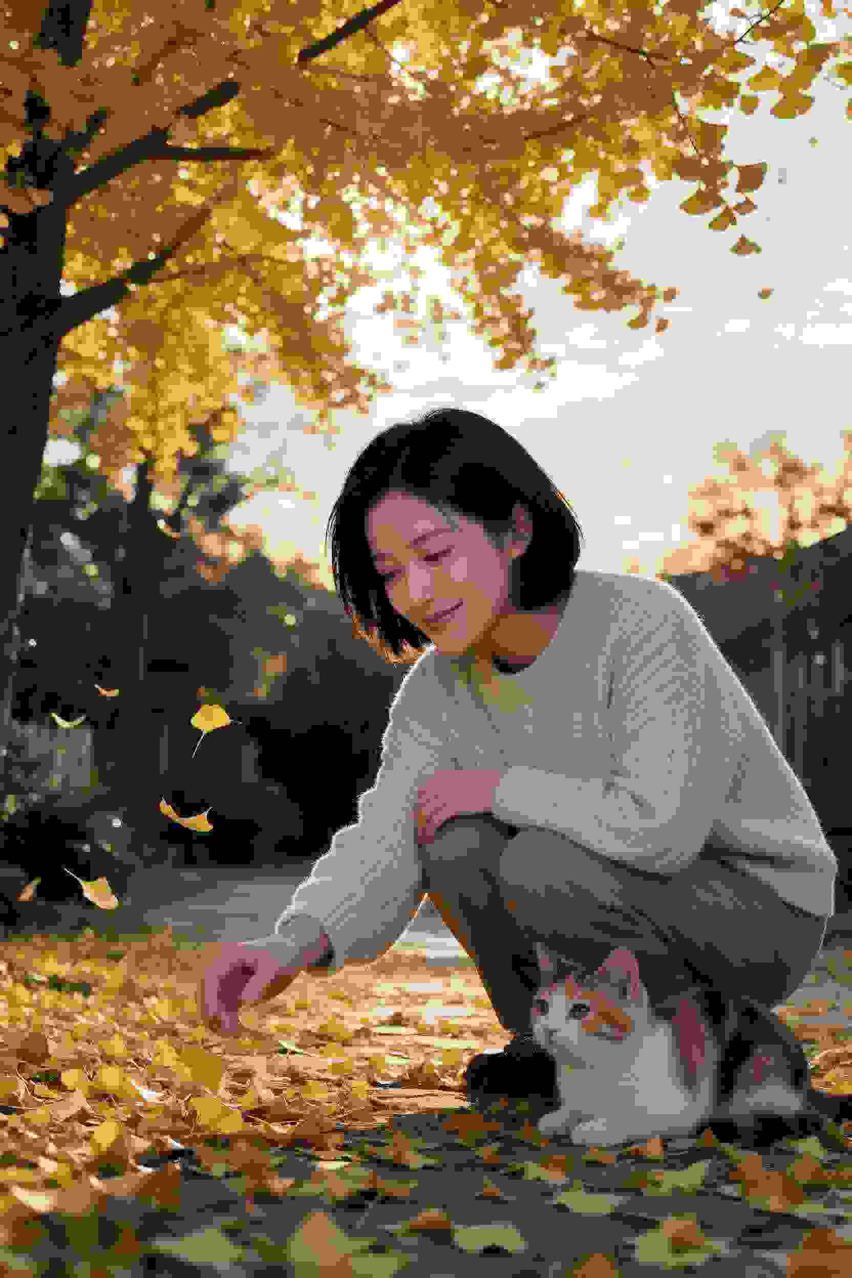 短剧2